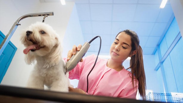 Foto - Çoğu kişi aynı hatayı yapıyor: Aman dikkat! Böyle yapınca zehirliyor