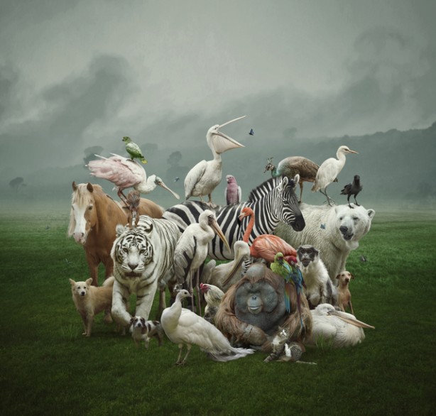 Çoğu kişi bu hayvanları daha önce hiç görmedi! İşte tuhaf ve ilginç canlılar