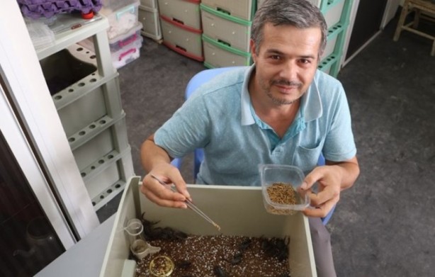 Foto - Çoğu kişinin korkulu rüyası ama o gramını 8 bin 500 dolardan satıyor!