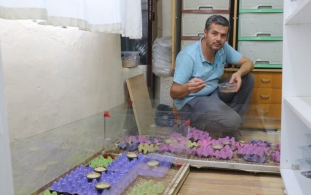 Foto - Çoğu kişinin korkulu rüyası ama o gramını 8 bin 500 dolardan satıyor!