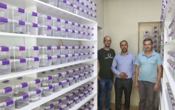 Foto - Çoğu kişinin korkulu rüyası ama o gramını 8 bin 500 dolardan satıyor!
