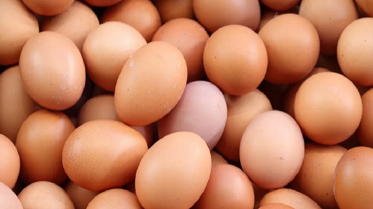 Foto - Çoğumuz bunları bilmiyoruz! Yumurtayla ilgili doğru bilinen yanlışlar