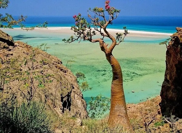 Foto - Çoğunuz ilk kez duyacaksınız! Dünyanın bilinmeyen 9 gizemli adası