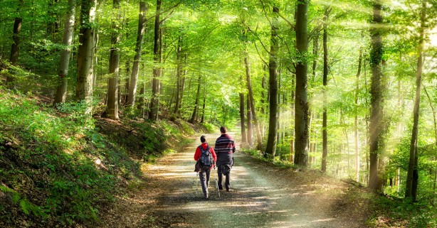 Foto - Çok az kişi biliyor! İstanbul’da saklı cennet: Çilingoz
