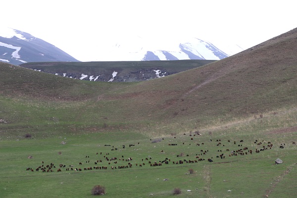 Foto - Çok az sayıda kişi biliyor! 50 metre yüksekten akıyor
