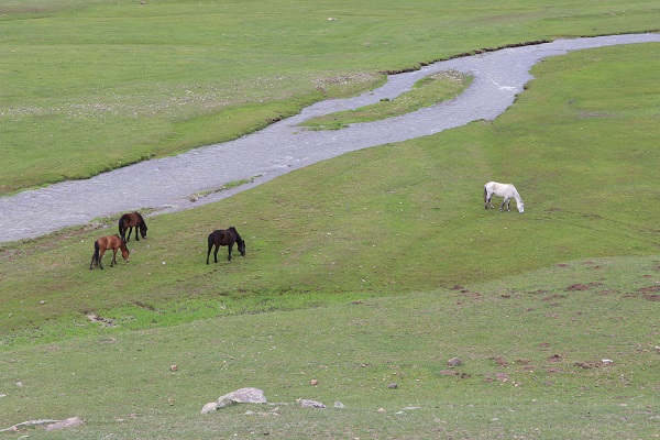 Foto - Çok az sayıda kişi biliyor! 50 metre yüksekten akıyor