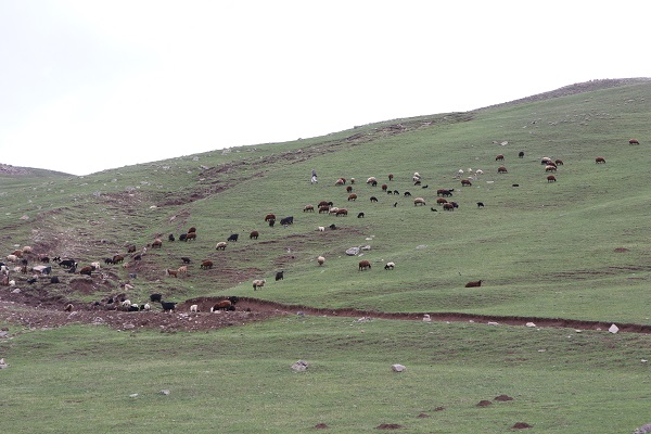 Foto - Çok az sayıda kişi biliyor! 50 metre yüksekten akıyor