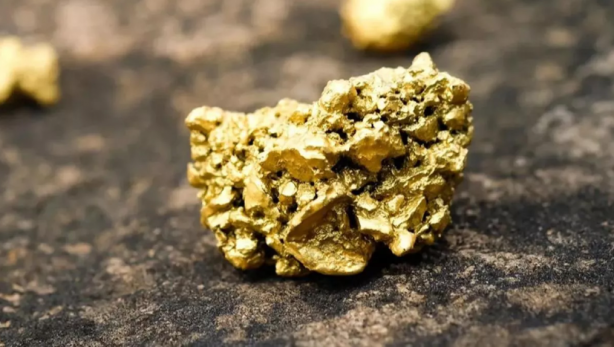 Foto - Çok büyük bir altın rezervine ulaşıldı! 1991 yılından bu yana görülmemiş keşif, herkes şokta