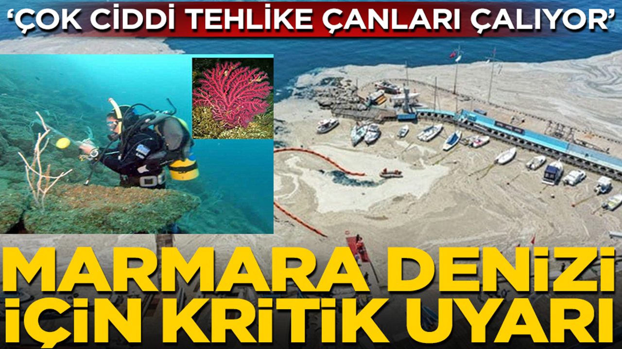 Foto - ‘Çok ciddi tehlike çanları çalıyor’: Marmara denizi için kritik uyarı