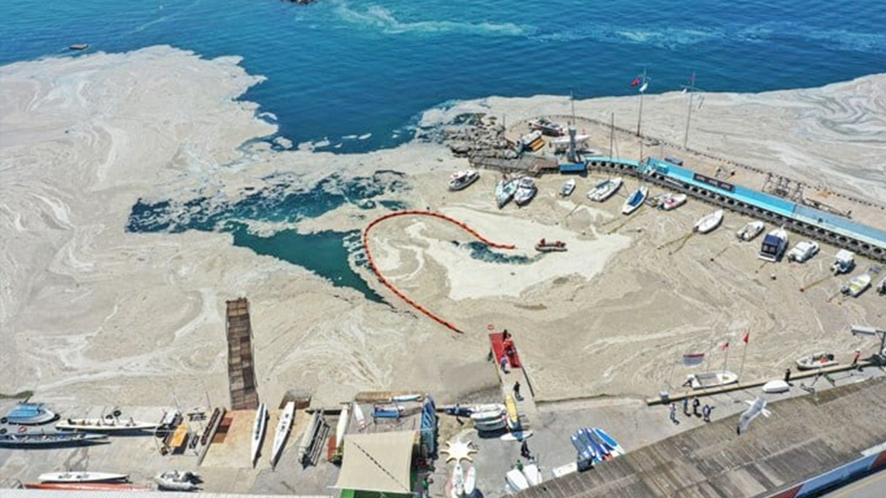 Foto - ‘Çok ciddi tehlike çanları çalıyor’: Marmara denizi için kritik uyarı