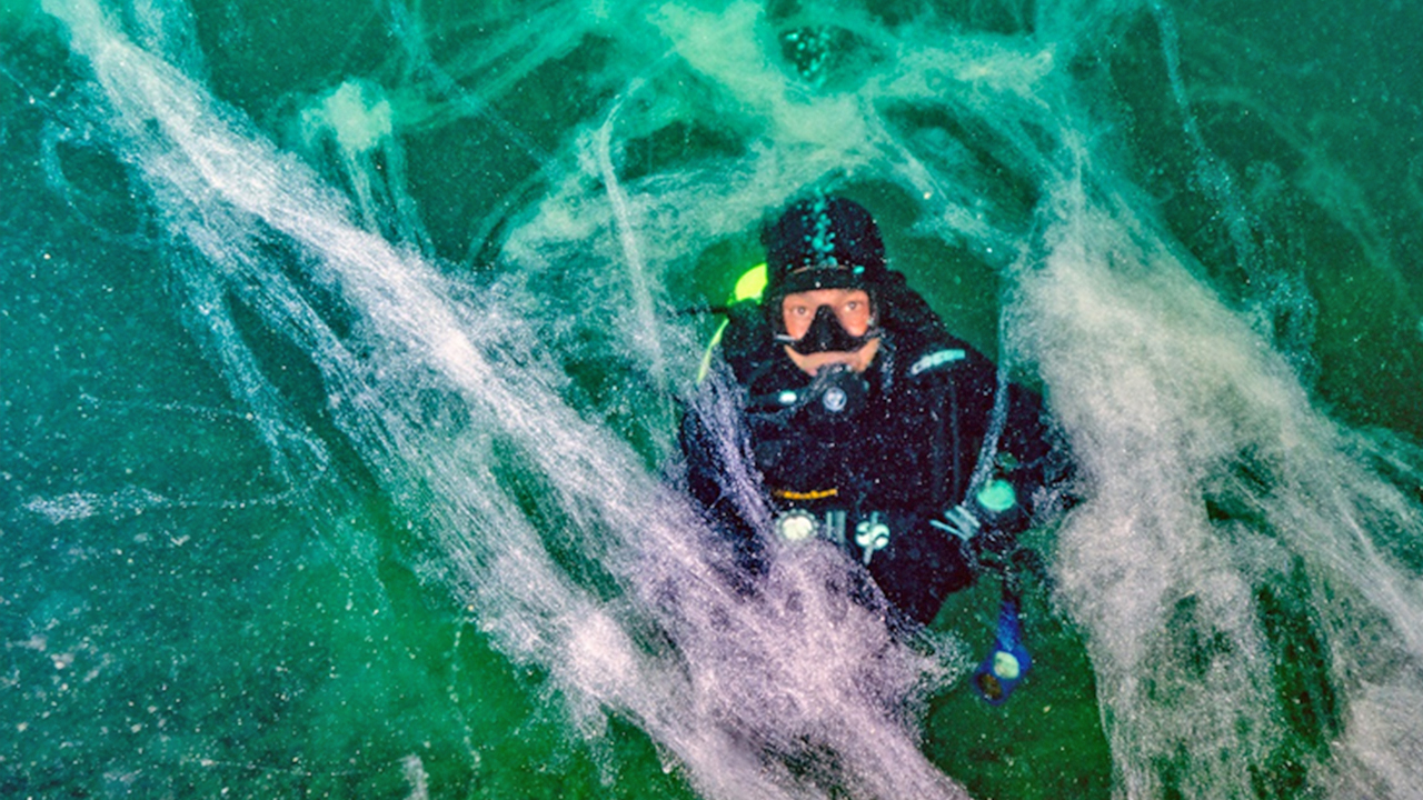 Foto - ‘Çok ciddi tehlike çanları çalıyor’: Marmara denizi için kritik uyarı