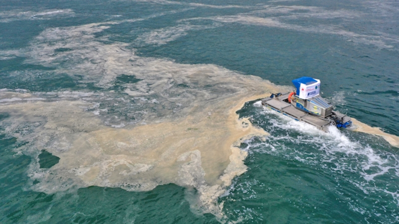 Foto - ‘Çok ciddi tehlike çanları çalıyor’: Marmara denizi için kritik uyarı