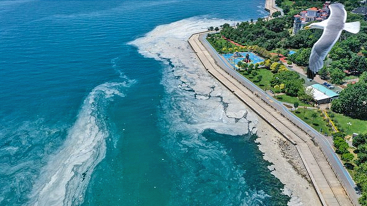 Foto - ‘Çok ciddi tehlike çanları çalıyor’: Marmara denizi için kritik uyarı