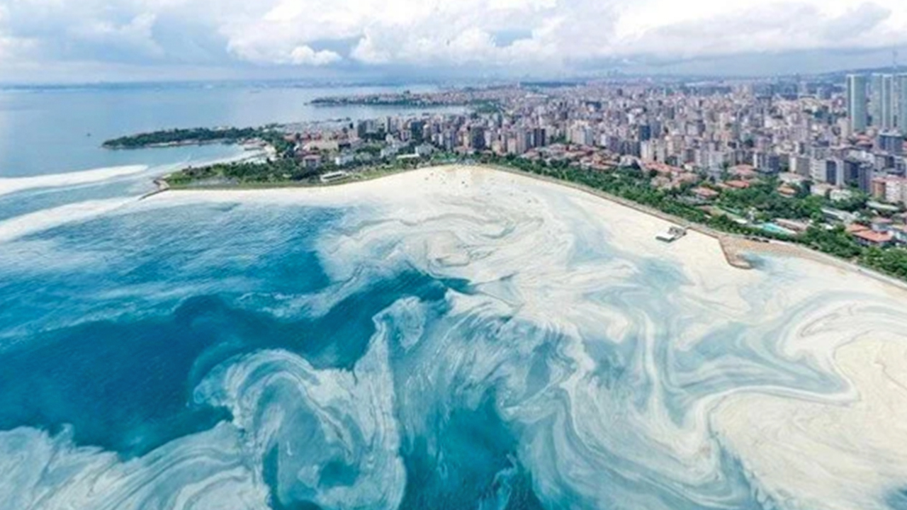 Foto - ‘Çok ciddi tehlike çanları çalıyor’: Marmara denizi için kritik uyarı