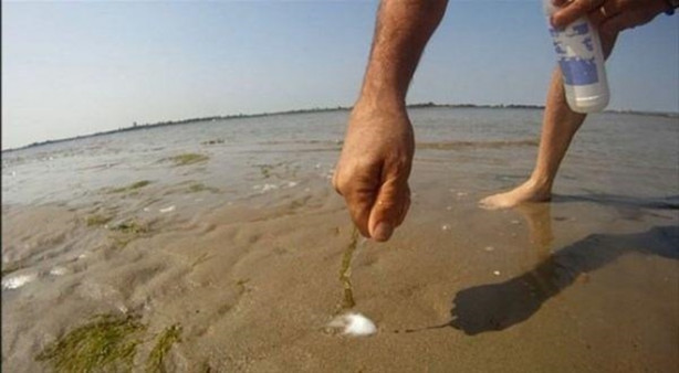 Foto - Çok ilginç! Kuma tuz dökünce bakın ne oluyor!