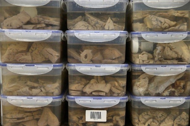 Foto - Çok merak edilen o yer görüntülendi!