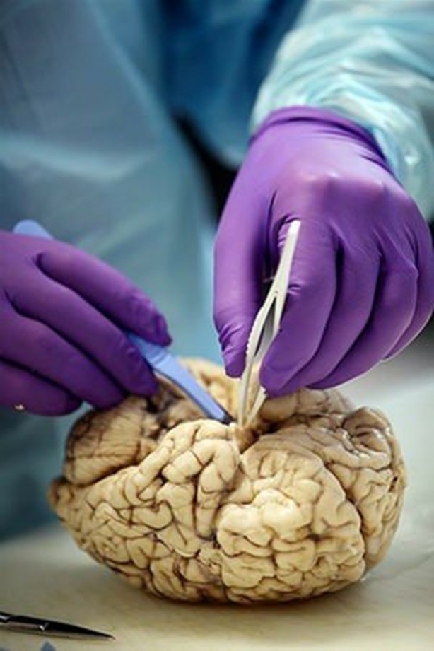 Foto - Çok merak edilen o yer görüntülendi!