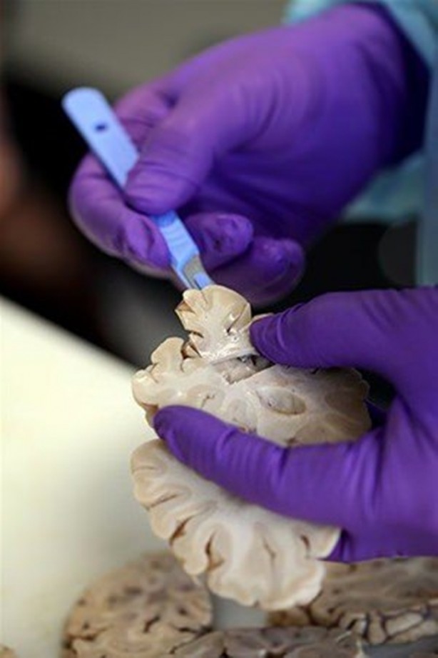 Foto - Çok merak edilen o yer görüntülendi!