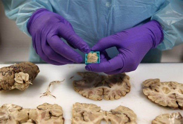 Foto - Çok merak edilen o yer görüntülendi!