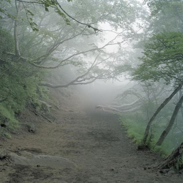 Foto - Çok merak edilen o yer görüntülendi!