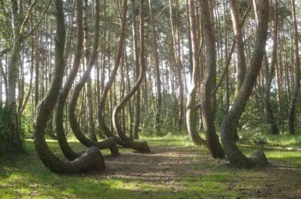 Foto - Çok merak edilen o yer görüntülendi!
