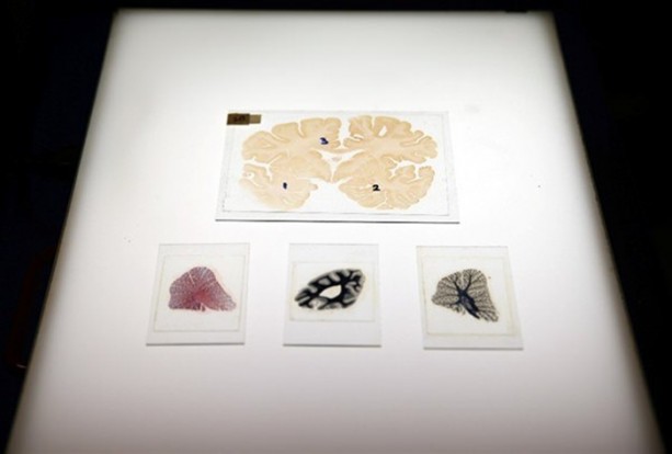 Foto - Çok merak edilen o yer görüntülendi!