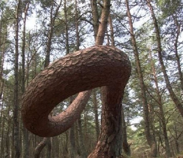 Foto - Çok merak edilen o yer görüntülendi!