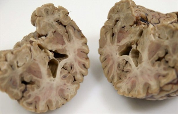 Foto - Çok merak edilen o yer görüntülendi!