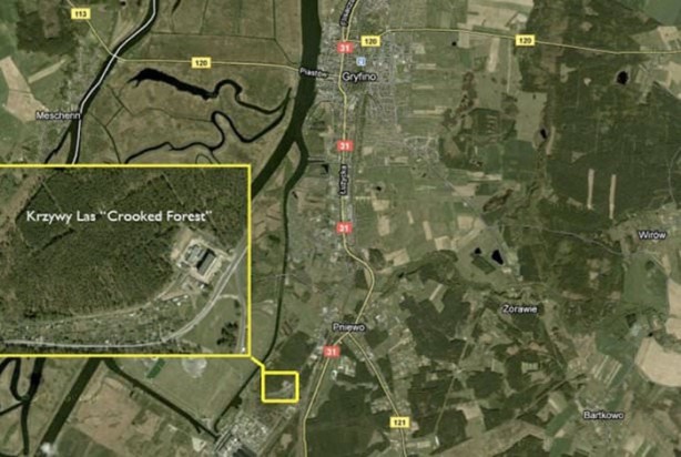 Foto - Çok merak edilen o yer görüntülendi!