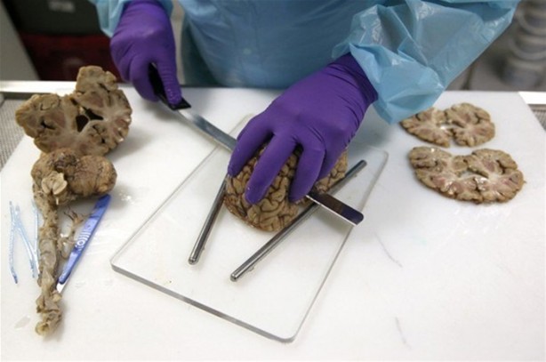 Foto - Çok merak edilen o yer görüntülendi!