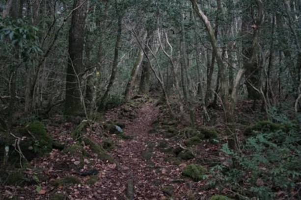 Foto - Çok merak edilen o yer görüntülendi!