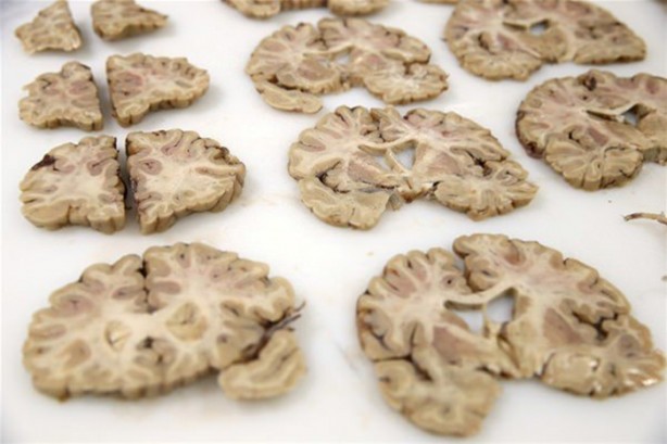 Foto - Çok merak edilen o yer görüntülendi!