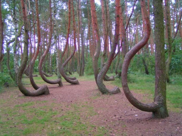 Foto - Çok merak edilen o yer görüntülendi!
