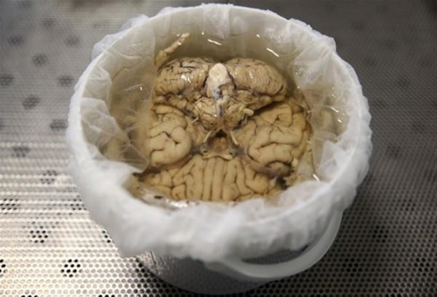 Foto - Çok merak edilen o yer görüntülendi!