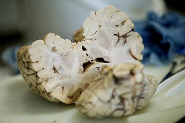 Foto - Çok merak edilen o yer görüntülendi!