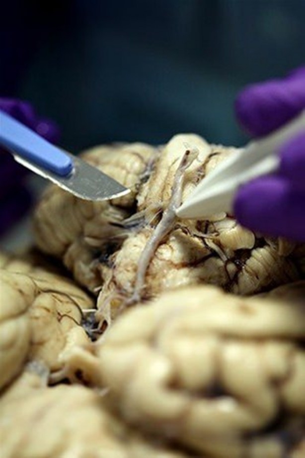 Foto - Çok merak edilen o yer görüntülendi!