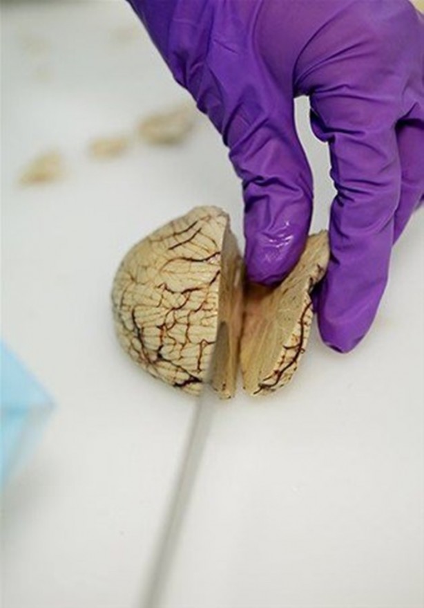 Foto - Çok merak edilen o yer görüntülendi!