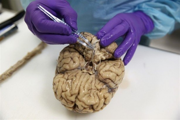 Foto - Çok merak edilen o yer görüntülendi!