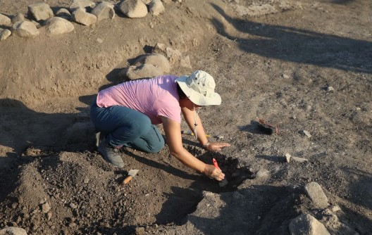 Foto - Çok nadir bulunuyor! Kahramanmaraş'ta şaşırtan keşif