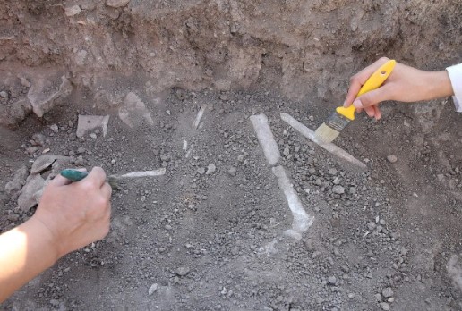 Foto - Çok nadir bulunuyor! Kahramanmaraş'ta şaşırtan keşif