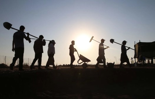 Foto - Çok nadir bulunuyor! Kahramanmaraş'ta şaşırtan keşif