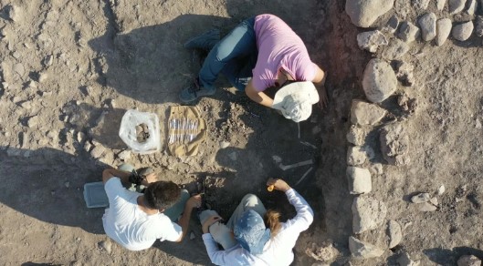 Foto - Çok nadir bulunuyor! Kahramanmaraş'ta şaşırtan keşif