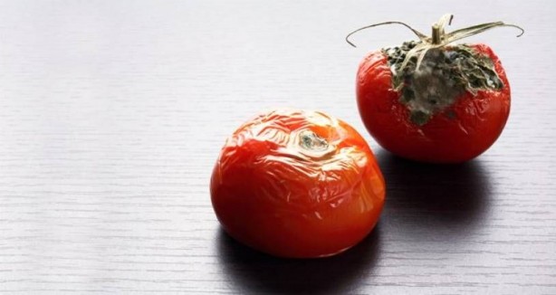 Çok şaşıracaksınız! Çürümüş yiyecek olabilir ama atmayın! Bakın nasıl değerlendiriliyor