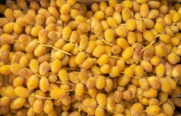 Foto - Çok şaşıracaksınız: Depremde hurma hayat kurtarıyor! 