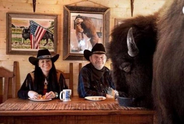  Çok şaşıracaksınız! Evlerinde 300 kiloluk bizon besliyorlar!