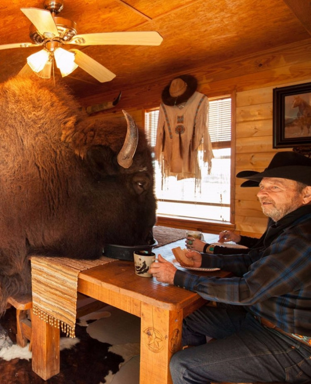 Foto - Çok şaşıracaksınız! Evlerinde 300 kiloluk bizon besliyorlar!
