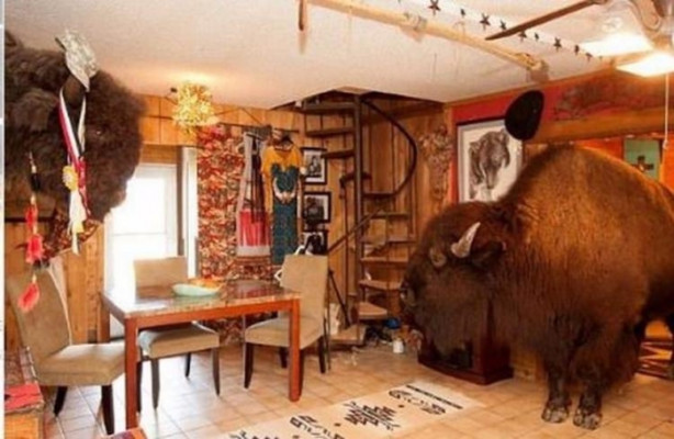 Foto - Çok şaşıracaksınız! Evlerinde 300 kiloluk bizon besliyorlar!