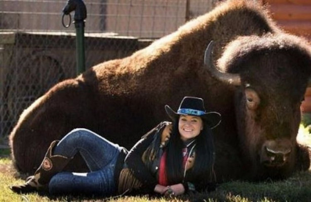 Foto - Çok şaşıracaksınız! Evlerinde 300 kiloluk bizon besliyorlar!