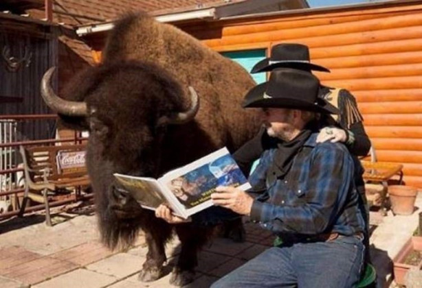 Foto - Çok şaşıracaksınız! Evlerinde 300 kiloluk bizon besliyorlar!