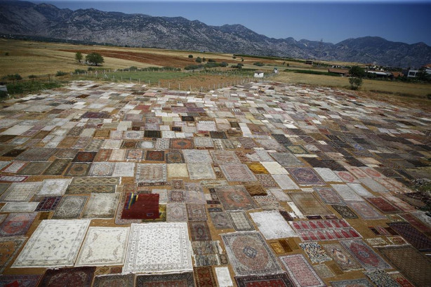 Çok şaşıracaksınız! İşte halı tarlaları...